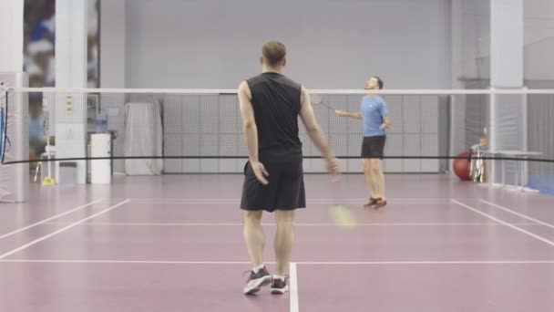 Sportliche kaukasische Männer, die drinnen Badminton spielen. Weitwinkelporträt von zwei jungen Sportlern, die im Fitnessstudio trainieren. Athletische Jungs trainieren mit Schlägern und Federball auf Indoor-Court. — Stockvideo