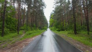 Sürücülerin bakış açısı, ıslak asfalt yolu ve yanında büyüyen yeşil ağaçlar. Yağmurlu ve bulutlu bir günde sakin bir yaz manzarası. Doğada güzellik.