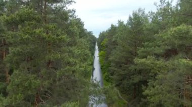 İnsansız hava aracı, ortada dar bir yol olan yeşil yaz ormanı üzerinde yükseliyor. Bulutlu gökyüzünün altındaki hava manzarası. Araba yol boyunca gidiyor. Doğadaki sükunet ve güzellik kavramı.
