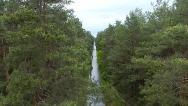 Dron se zvedá nad zeleným letním lesem s úzkou silnicí uprostřed. Letecký pohled na malebnou krajinu pod zataženou oblohou. Cestou pojede auto. Koncept klidu a krásy v přírodě. — Stock video