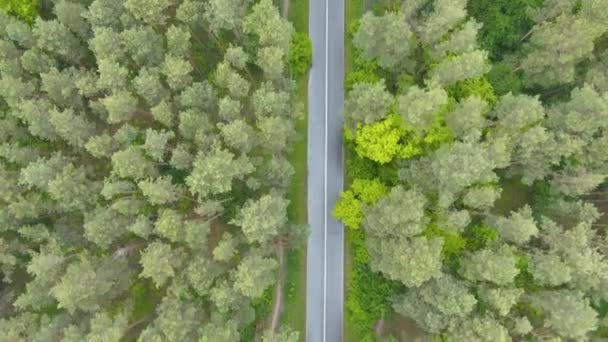 มุมมองทางอากาศของถนนยางมะตอยที่มีป่าเขียวทั้งสองด้าน หุ่นยนต์เคลื่อนที่ไปตามทางหลวงในพื้นที่ชนบท มุมมองด้านบนของทางเปียกในวันที่ฝนตกกลางแจ้ง . — วีดีโอสต็อก