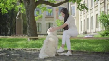Genç mutlu esmer kadın beyaz köpeğin kafasını okşuyor ve konuşuyor. Üniversite bahçesinde evcil hayvanla top oynayan neşeli beyaz üniversite öğrencisinin portresi. İnsan ve hayvan arkadaşlığı kavramı.