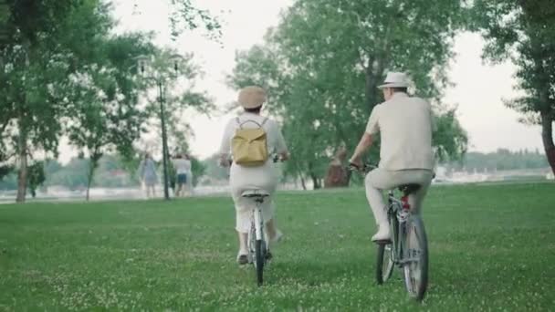 公園で正の中大人のカップル乗馬自転車のバックビュー。晴れた日を屋外で楽しむ活発な陽気な白人男性と女性の幅広いショット。幸せな家族が一緒に楽しんでいる. — ストック動画
