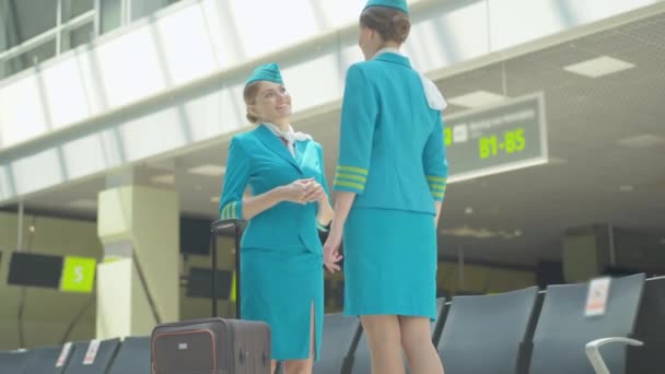 Ángulo de vista inferior de dos azafatas sonrientes felices charlando en el aeropuerto. Retrato de hermosas mujeres caucásicas delgadas en uniforme azul de pie en la terminal del aeropuerto antes de la salida y hablando. — Vídeo de stock