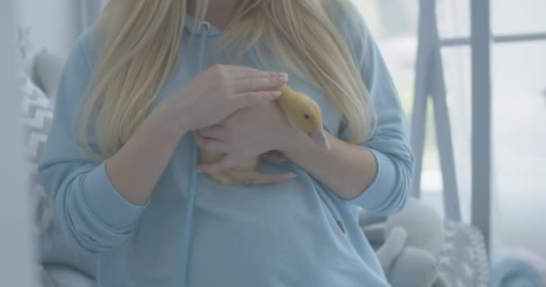 Onherkenbare zwangere vrouw met geel eendje en streelde zijn hoofd. Jonge blonde blanke aanstaande strelende vogel. Gelukkig moederschap en zwangerschap. Camera gaat omhoog. Cinema 4k ProRes Hoofdkwartier. — Stockvideo