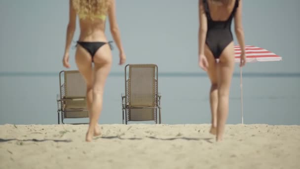 Visão traseira de duas mulheres caucasianas magro descalço andando na praia de areia para a costa e sentado em espreguiçadeiras. Lindas turistas do sexo feminino descansando no resort de verão. Turismo e lazer. — Vídeo de Stock