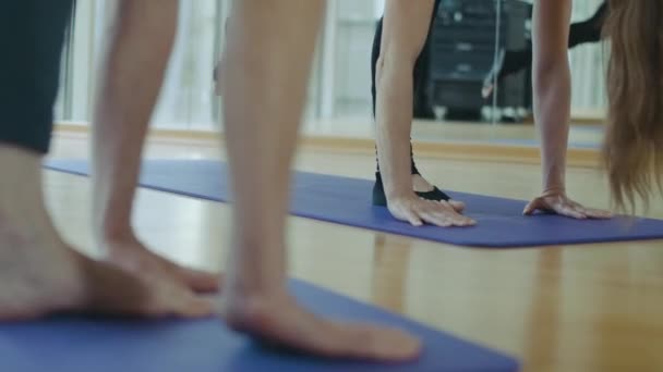 Homme méconnaissable et la formation des jeunes femmes sur les tapis d'exercice dans la salle de gym. Portrait de personnes caucasiennes sportives s'entraînant à l'intérieur. Sport et mode de vie sain. — Video