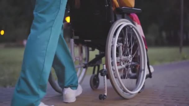 Homme bénévole ou infirmier en uniforme roulant en fauteuil roulant dans le parc du soir d'été. La caméra se déplace des pieds à la tête. Femme caucasienne handicapée appréciant le repos avec soignant à l'extérieur. Services sociaux. — Video