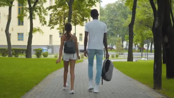 Achteraanzicht van vrolijke Afro-Amerikaanse meisje en man wandelen langs de steeg in zomerpark. Positieve broer en zus wandelen na lessen buiten. Vrijetijdsbesteding en gezin. — Stockvideo