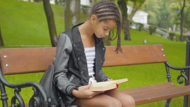 Geconcentreerd meisje met afro vlechtjes die buiten een boek lezen. Portret van een schattig Afro-Amerikaans schoolmeisje rustend op een bankje in het zomerpark. Concept van intelligentie, hobby en levensstijl. — Stockvideo