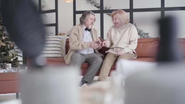 Ευχάριστο ζευγάρι ηλικιωμένων που κάθονται στον καναπέ και μιλάνε και γελάνε. Πορτρέτο των χαρούμενων χαλαρών Καυκάσιων συζύγων απολαμβάνοντας το χρόνο μαζί την παραμονή των Χριστουγέννων. Ευτυχία και τρόπος ζωής. — Αρχείο Βίντεο