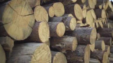 Gün ışığında dışarıda duran istiflenmiş kerestelere kamera yaklaşıyor. Endüstriyel kullanım için kesilmiş ağaç kütükleri. Üretimin çevre üzerindeki etkisi.