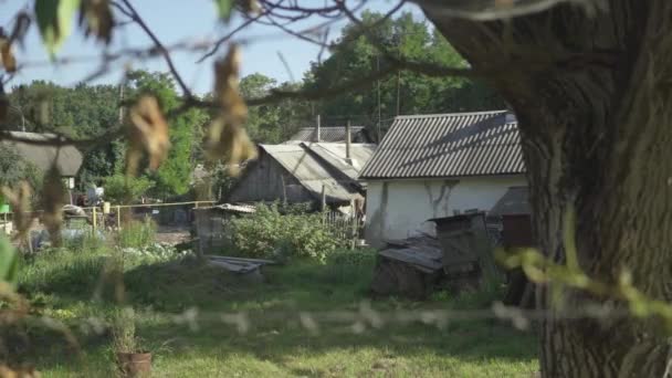Krajina malebné ukrajinské vesnice na slunném letním dni venku. Staré budovy se zelenými stromy a trávou. — Stock video