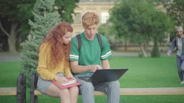 Üniversite bahçesinde bankta oturan kaygısız üniversite öğrencisi arkadaşlarına koşuyor. Beyaz erkek ve kadının açık havada konuşmayı tartışan olumlu portresi.. — Stok video