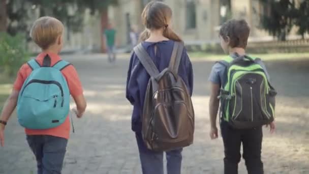 Vista posterior de los escolares caminando al aire libre y corriendo pasando estudiantes de secundaria. Alegre niños y niñas divirtiéndose después de las clases en la escuela como compañeros de grupo masculinos seguros caminando por. — Vídeos de Stock