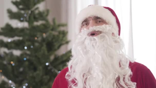 Gros plan de joyeux jeune homme caucasien en costume rouge Santa Clause et fausse barbe dansant et chantant à l'intérieur. Portrait de Père Noël joyeux s'amuser avec arbre décoré du Nouvel An en arrière-plan. — Video