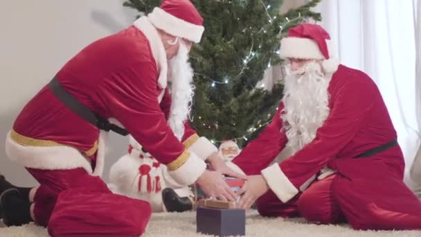 Vista lateral de dos Santas luchando por el regalo sentado en el árbol de Navidad decorado en el interior. Codiciosos Papá Noel Cláusulas en trajes rojos compartiendo regalos en Nochevieja. — Vídeo de stock