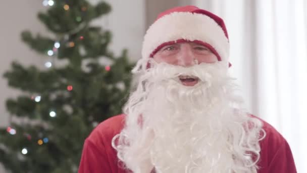 Крупный план портрета радостного старшего Санта Клауса, смеющегося вслух. Веселый кавказский мужчина в красном костюме стоит в помещении с украшенной новогодней елкой на заднем плане. Рождественские забавы. — стоковое видео