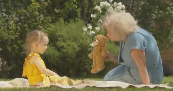 Zijaanzicht van een positieve blanke oudere vrouw die teddybeer speelt met een klein meisje en sprookje vertelt. Gelukkig oma genieten van zonnige zomerdag met kleindochter buiten. Cinema 4k ProRes Hoofdkwartier. — Stockvideo