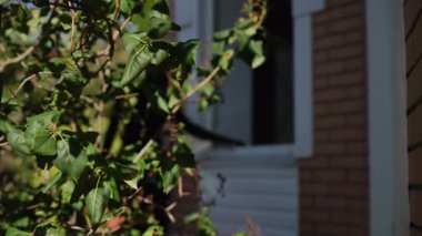 Gölgeli bir figür gece saatlerinde açık bir pencereden gizlice eve girmeye çalışıyor.