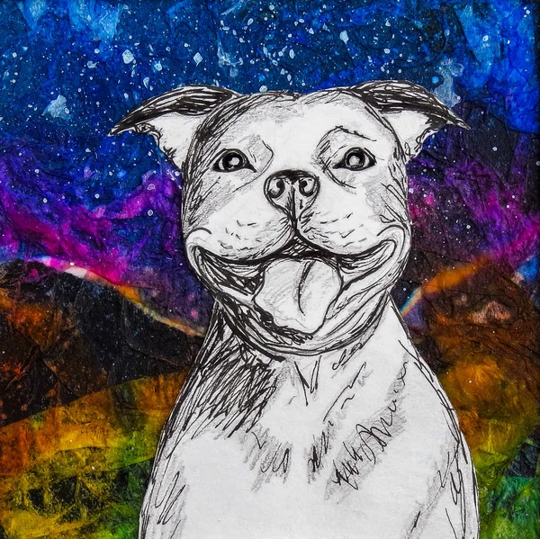 White smiling staffy dog drawing on colourful night background.