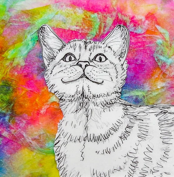 Smiling white cat drawing on vibrant multicoloured background.