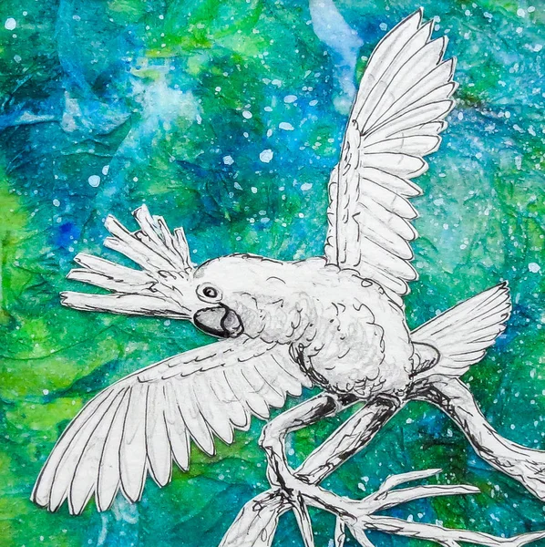 Desenho de papagaio-da-cacatua branco, fundo azul verde. Asas estendidas . — Fotografia de Stock