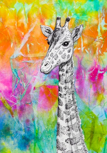 Белый жираф рисует на ярком радужном фоне . — стоковое фото