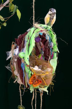 Geri dönüşümlü plastik atık büyük baştankara kuş heykel. Asılı yuva.
