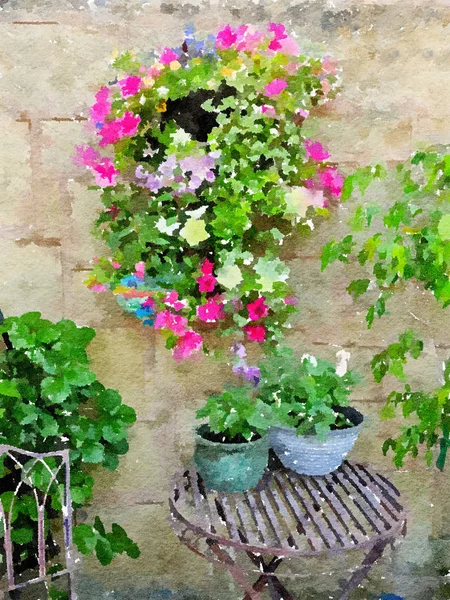 Pintura acuarela de flores en un rincón de jardín de verano . —  Fotos de Stock
