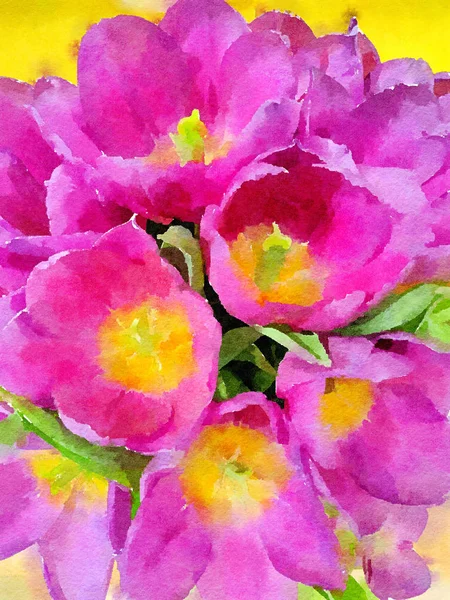 Pintura aquarela de flores. Tulipas rosa e amarela . — Fotografia de Stock