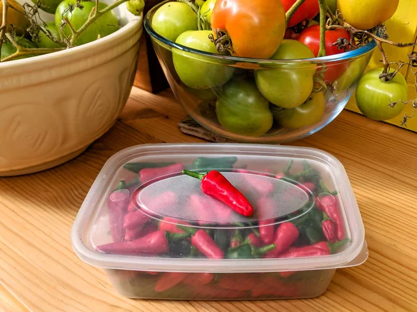 Red and green chilli peppers in plastic kitchen container. — Stock Photo, Image