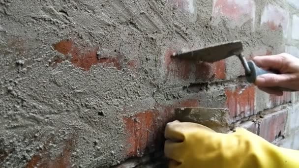 Frau zeigt Ziegelmauer mit Mörtel. Hände aus nächster Nähe. — Stockvideo