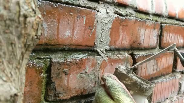 Close up of woman pointing brick wall with mortar. — Stock Video