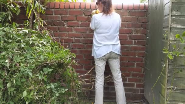 Mujer rastrillando mortero de la vieja pared de ladrillo rojo . — Vídeos de Stock