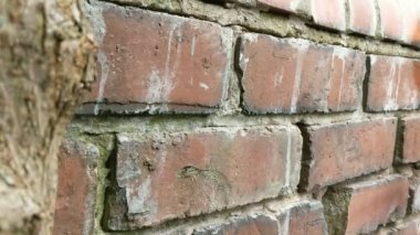 Kadın işaret etmeden önce su ile tuğla duvar püskürtme. Closeup.