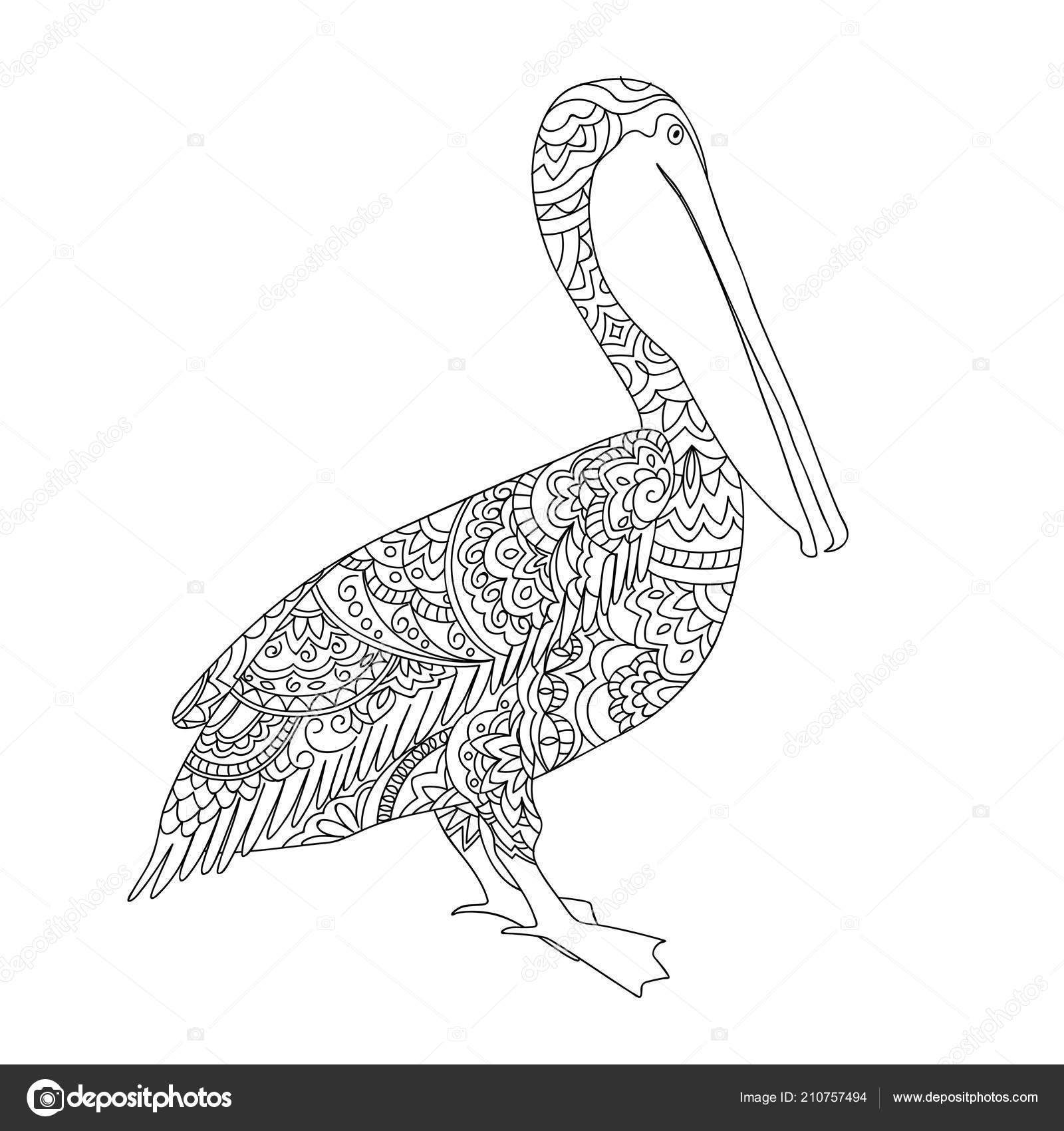 50 Pelican Tattoos For Men  Water Bird Design Ideas