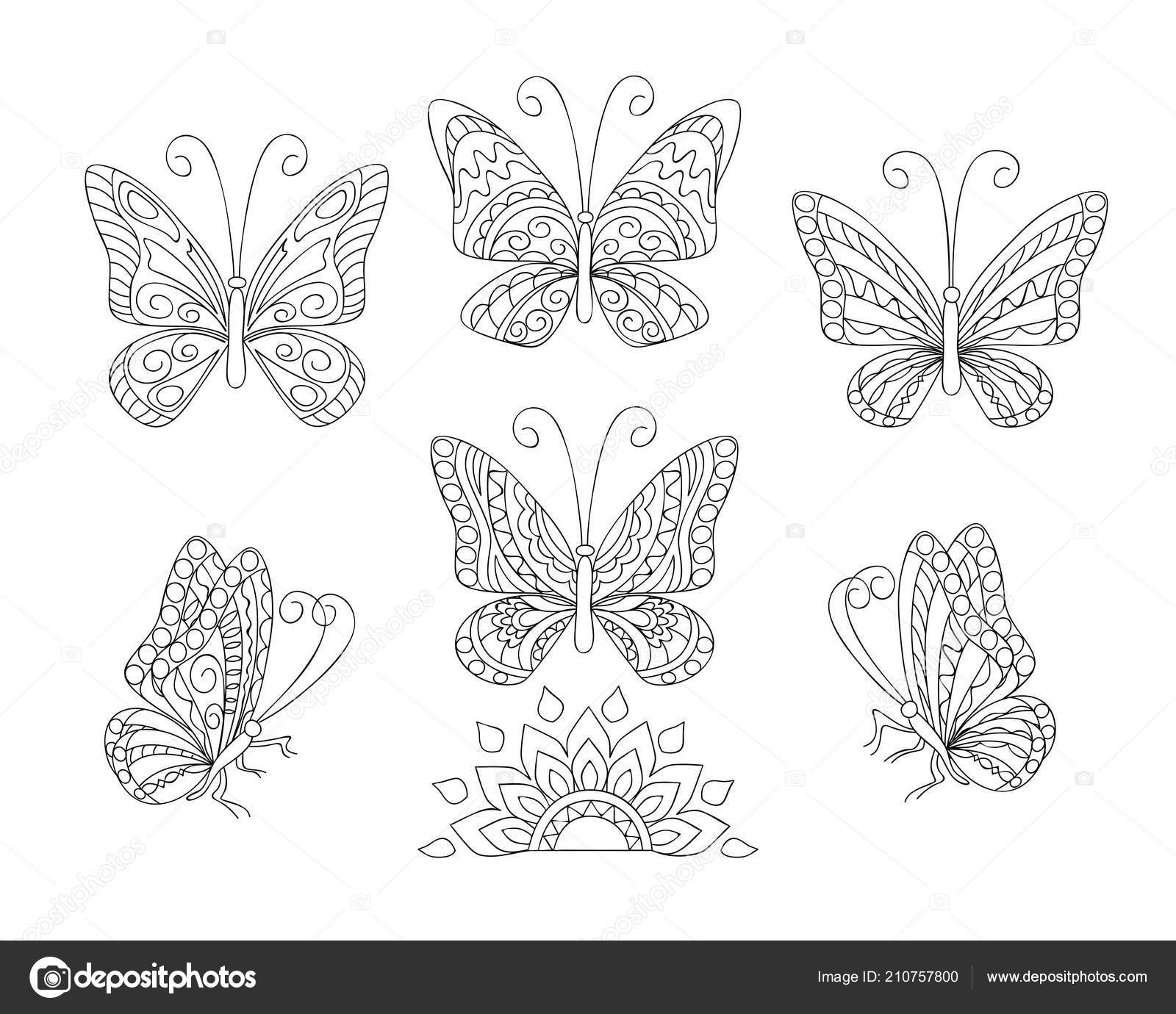 Download Coloring Page Set Six Butterflies Adult Antistress Coloring Book Album Vector Image By C Sliplee Vector Stock 210757800