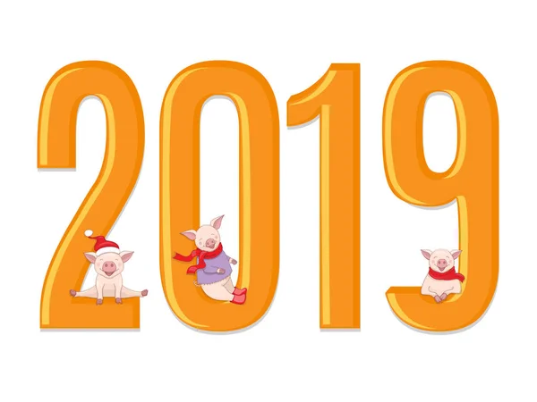 Kreskówka Śliczne Świnki Symbol 2019 Roku Według Chińskiej Astrologii Numerem — Wektor stockowy