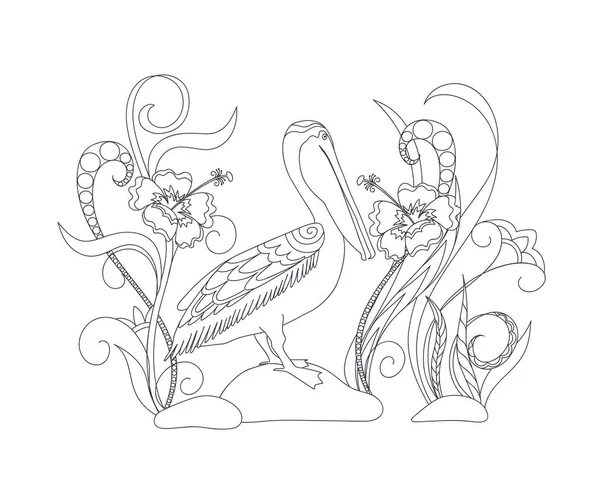 Dibujo Para Colorear Con Pelícano Dibujado Mano Entre Flores Para — Archivo Imágenes Vectoriales