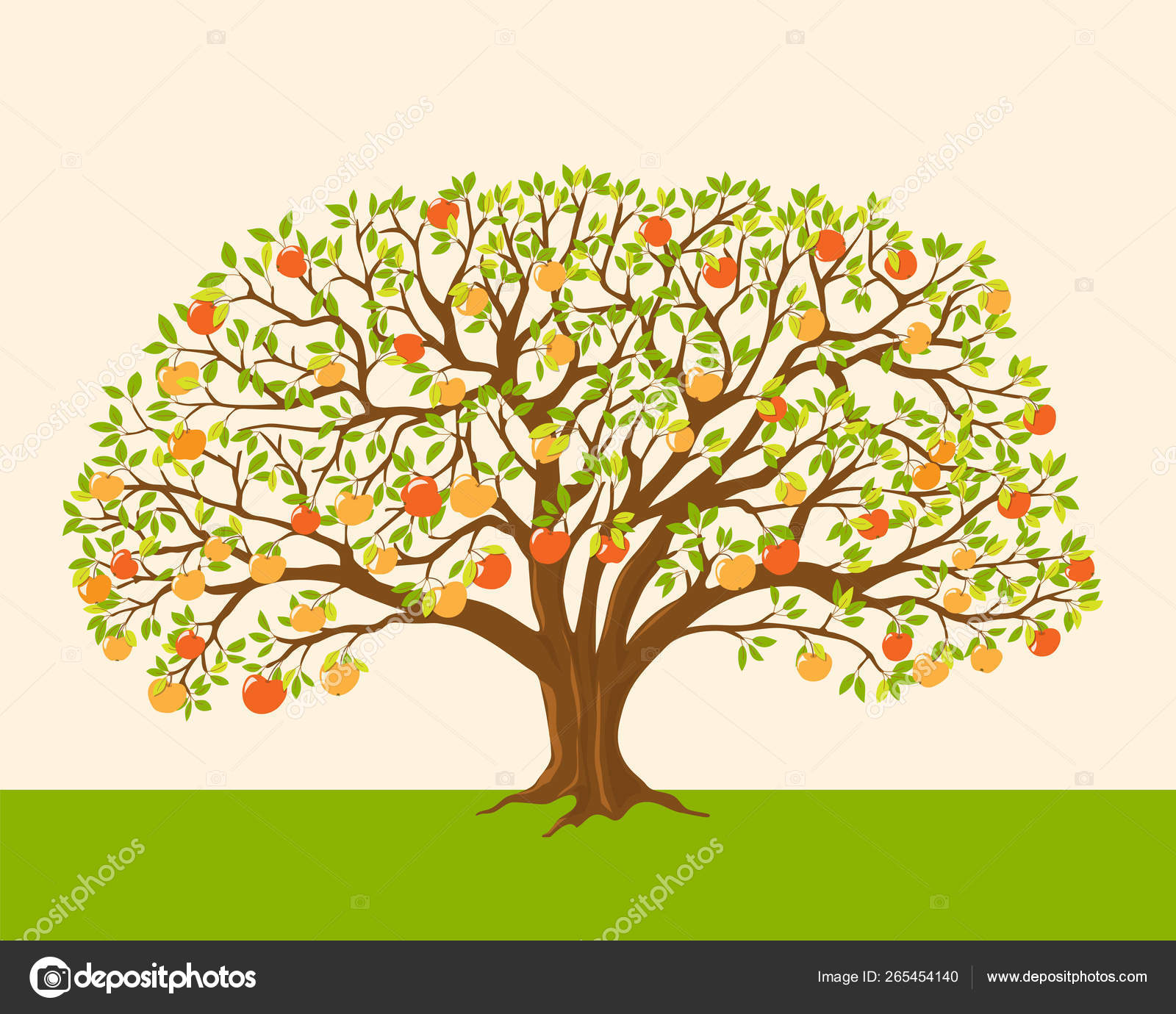 Macieira com maçãs vermelhas e amarelas Vetor de ©sliplee 265454140, image size:1600x1380