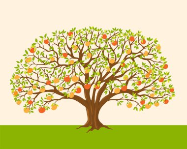 kırmızı ve sarı elma ile elma ağacı