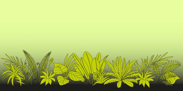 熱帯性着生植物との緩やかな境界線の背景 カバーノートブック ホームアート 装飾壁 文房具 ポスター バナーの背景やビジットカードのデザインのための漫画のベクトルイラスト 第10話 — ストックベクタ