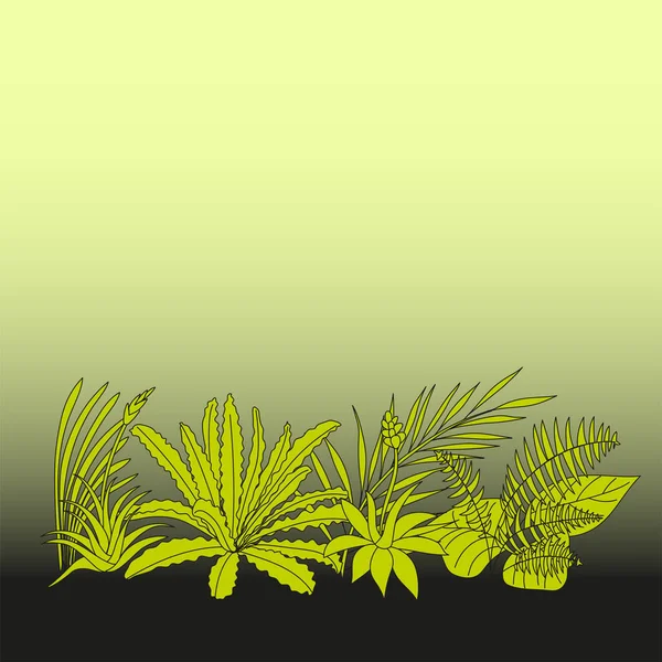 Hintergrund Des Farbverlaufs Mit Tropischen Epiphyten Cartoon Vektor Illustration Für — Stockvektor