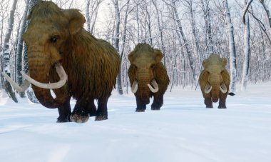 Karlı bir ormanda yürüyen Yünlü Mamut sürüsünün 3 boyutlu bir çizimi..