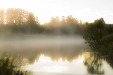 Yaz. Nehirde sabah sisi.