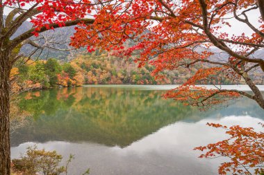 Nikko sonbahar mevsiminde kırmızı akçaağaç ve yumoto gölü manzarası