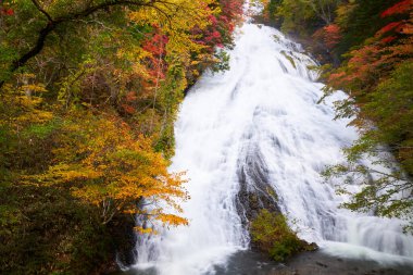 Nikko Japonya 'da sonbahar sezonuyla birlikte Yudaki' nın mükemmel manzarası.