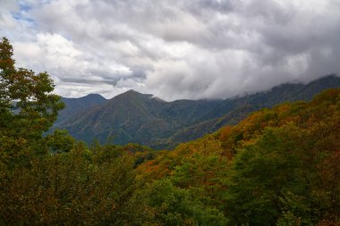 Nikko Dağı Japonya 'da sonbahar sezonunun başlangıcı manzarası