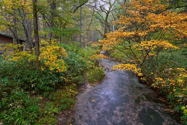 Landschaft Des Herbstes Kamikochi Mit Kleinen Bach Teich Und Gelben — Stockfoto